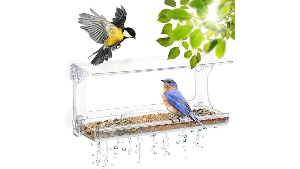 sturdy suction cup window feeder sturdy suction cup window feeder